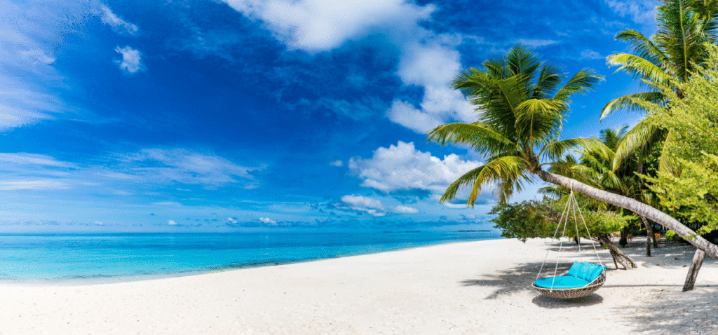 SightSeeingHNhyP6 (1)